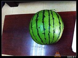 吃瓜6年,揭秘娱乐圈那些事儿